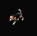 小獵犬.gif