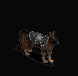 高等牧羊犬.gif