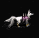 高等狐狸.gif