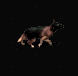 牧羊犬.gif