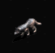 狼.gif