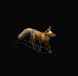 狐狸.gif