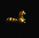 浣熊.gif