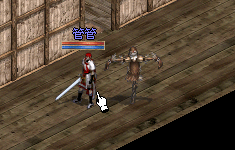 兵之女王.gif
